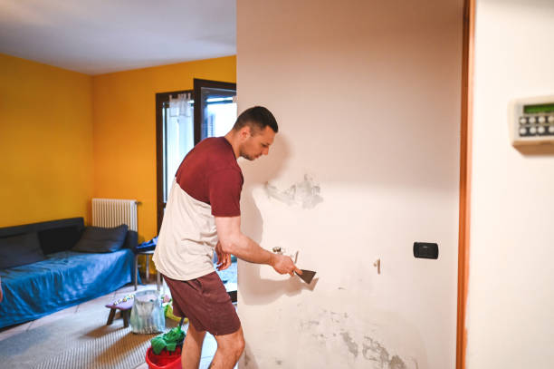 Best Mold Remediation  in Troy, NY
